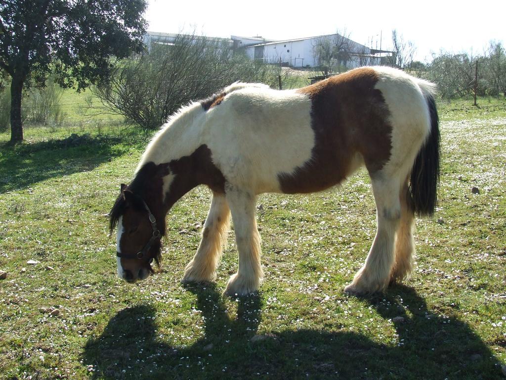 Country house La Tierra *